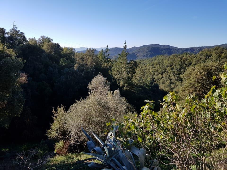 Landhuis Canaleta Rural *